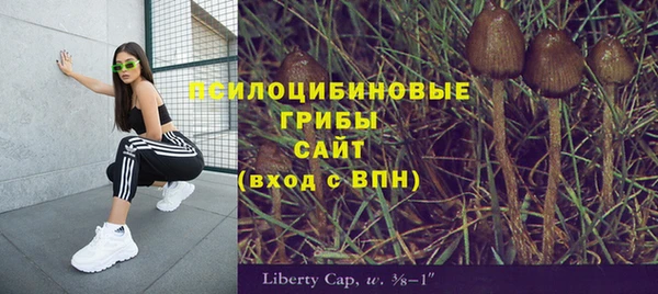 стафф Корсаков