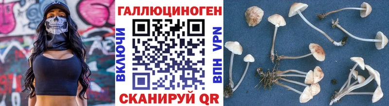 купить наркоту  Лаишево  Псилоцибиновые грибы ЛСД 